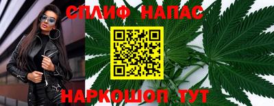 крисы Новозыбков