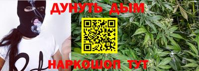 крисы Новозыбков
