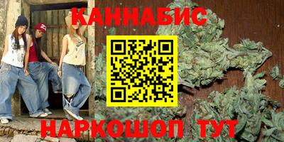 крисы Новозыбков