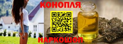 крисы Новозыбков