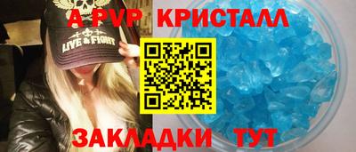 крисы Новозыбков