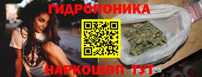 крисы Новозыбков